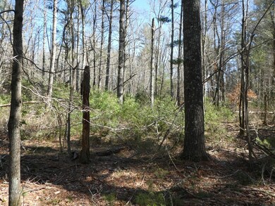 1 Walnut Plain Rd, Rochester, MA 02770 - photo 3