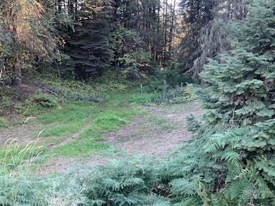 View of wooded area
