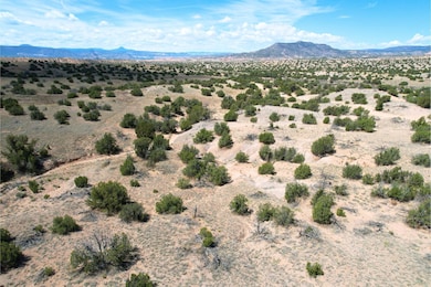 0 Fort Defina unit 25558757, Abiquiu, NM 87510 - photo 4