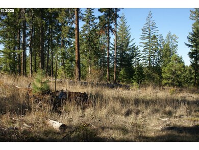 8 Ginger Way, Goldendale, WA 98620 - photo 4