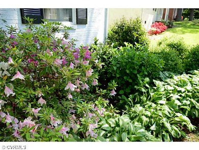 Yard/Garden