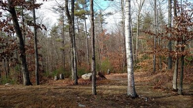 25 Chimera Hill Rd, Windham, ME 04062 - photo 4