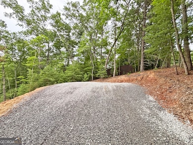 2A Oak Crest Dr, Morganton, GA 30560 - photo 6