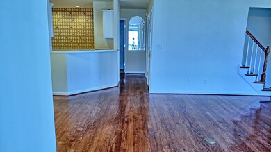 IMG_1441_2_3