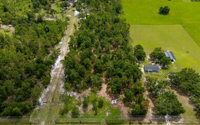 0 Lot 12 167th Rd unit 127741, Live Oak, FL 32060 - photo 5