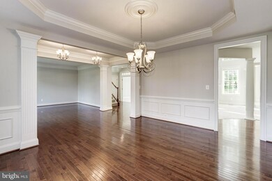 41638 Revival Dr, Ashburn, VA 20148 - photo 6