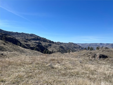 NNA Soap Lake Rd, Malott, WA 98829 - photo 5