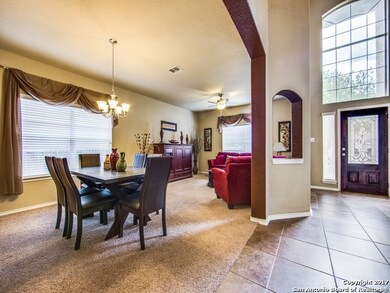 10510 Cosmos Canyon, Helotes, TX 78023 - photo 7