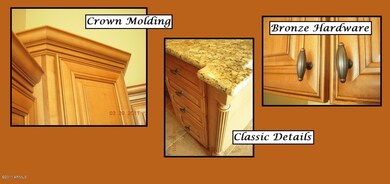 Kitchen Details of Cabinets & Granite
