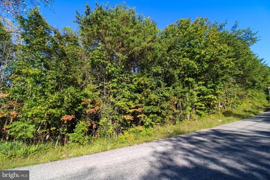 TBD Roark Mill Rd, Hurt, VA 24563 - photo 7