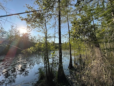 Tract#6201 Doyle Morgan Rd, Defuniak Springs, FL 32433 - photo 6