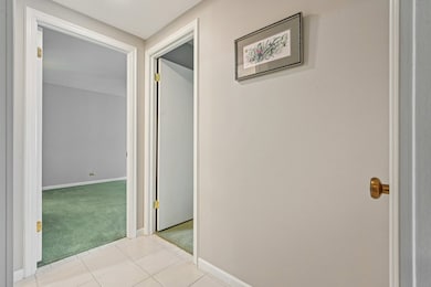 1105 N Mill St unit 224, Naperville, IL 60563 - photo 5