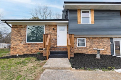 02-586 pinewood--9