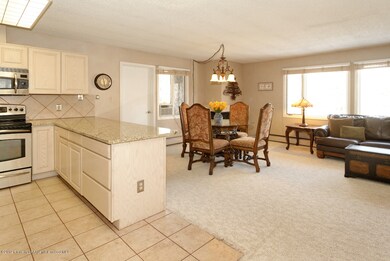 790 W Hallam St unit 14, Aspen, CO 81611 - photo 5