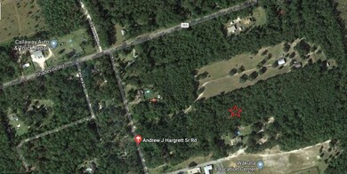 0 Andrew J Hargrett Sr Rd, Crawfordville, FL 32327 - photo 4