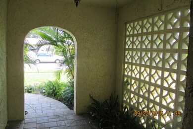 IMG_2907