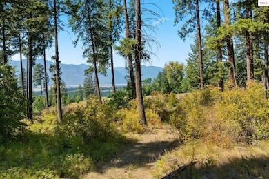 NKA Adit Ln 20 Acres, Bonners Ferry, ID 83805 - photo 7