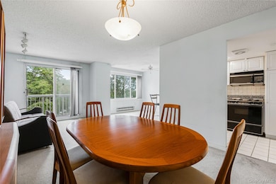 Stewart Place Condominiums unit 2AW, White Plains, NY 10603 - photo 5