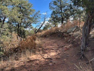 Tracts D1, D2-A, D2- Dragonfly Canyon Rd, Rowe, NM 87562 - photo 6