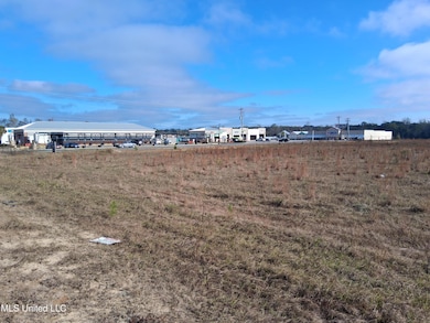 0 Old Highway 63 unit 4133272, Lucedale, MS 39452 - photo 3