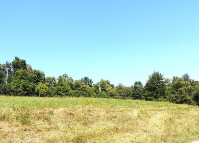 02 S Scruggs, Frankfort, KY 40601 - photo 4