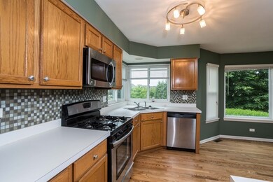 917 Cortney Dr, Carpentersville, IL 60110 - photo 7