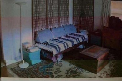 243 Shawmut St, Springfield, MA 01108 - photo 3