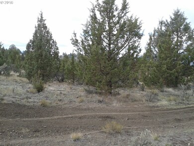 0 Eastside Ln unit 16128185, John Day, OR 97845 - photo 3