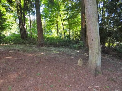 3222 159th Place NW, Stanwood, WA 98292 - photo 4