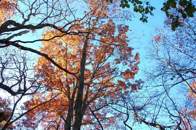 L3 Alpine Rd, Brooklyn, WI 53521 - photo 7