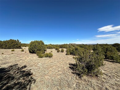 4.872 Acres Fronxtage Rd 2116, Serafina, NM 87569 - photo 5