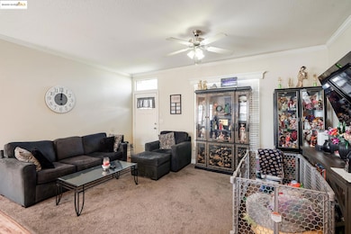Carpeted living room with crown molding and a ceiling fan