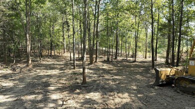 TBD, Tract 3 Polk Road 158, Mena, AR 71953 - photo 5