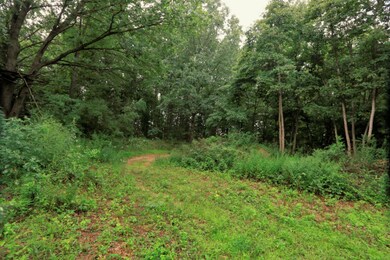 2914 N Old US31 (3)