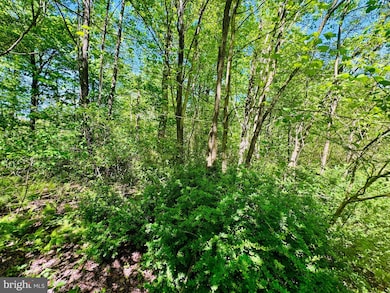 Lot: 43 Paradise Rd, Todd Township, PA 16657 - photo 2