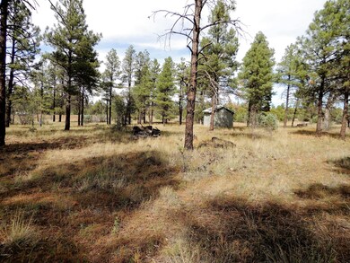 6537 E Wapiti Way, Show Low, AZ 85901 - photo 6