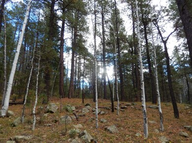 More Aspens