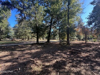 2836 Appalachee Trail, Marianna, FL 32446 - photo 7