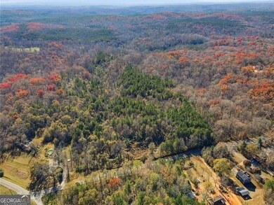 0 Lower Dowda Mill Rd unit 10648232, Jasper, GA 30143 - photo 5