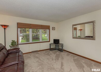 917 Northbrook Dr, Davenport, IA 52806 - photo 5