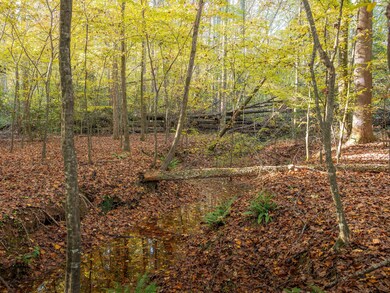 Dice Miller Rd, Moore, SC 29369 - photo 6