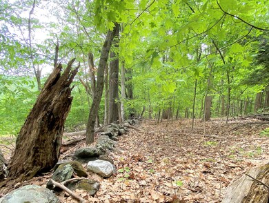 unlisted-address, Conway, MA 01341 - photo 7