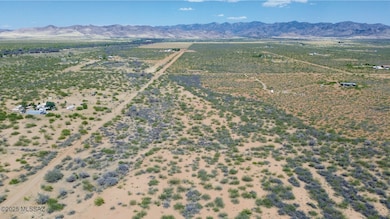 DJI_0631.JPG