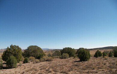 0 Juniper Ridge Rd unit 1014613, Paulden, AZ 86334 - photo 7
