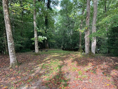 830 Colbert Bridge Rd, Windsor, SC 29856 - photo 3