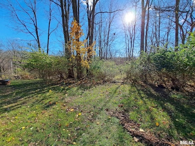 Lot 23 Scenic Hill, Port Byron, IL 61275 - photo 2