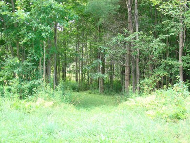 5 Poverty Row, Whitingham, VT 05361 - photo 7