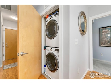 204 Maple St unit 207, Fort Collins, CO 80521 - photo 6