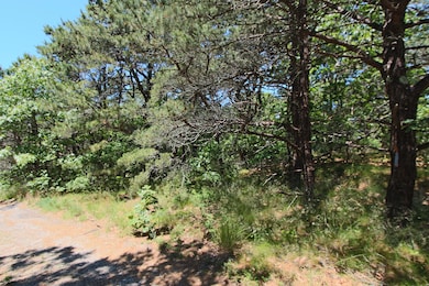 29 Noons Dr, Truro, MA 2666 - photo 5