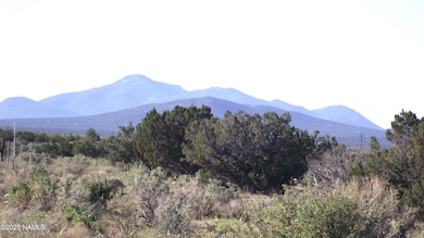 10955 Howard Mesa Loop, Williams, AZ 86046 - photo 4